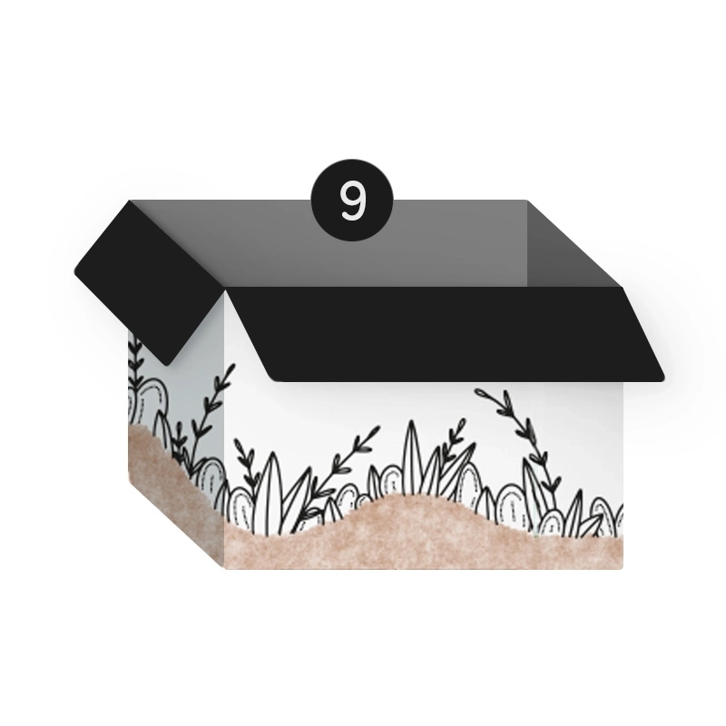 Après shampoing solide - Cheveux ternes -  Carton 25 